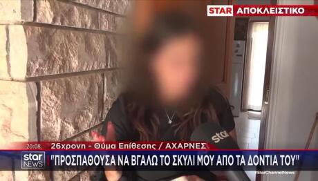 Αχαρνές: Σκύλος Σκότωσε Μαλτέζ & Τραυμάτισε Την ΙδιοκτήτριαΑχαρνές: Σκύλος