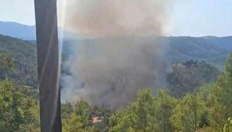 Φωτιά Σε Δασική Έκταση Στο Μαρκόπουλο Ωρωπού