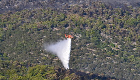 Φωτιά Τώρα Στη Λέσβο - Επιχειρούν 8 Εναέρια Μέσα