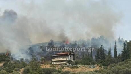 Φωτιά σε αγροτοδασική έκταση στην Πελασγία Φθιώτιδας
