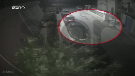 Αγέλη Λύκων Επιτέθηκε Και Κατασπάραξε Σκύλο Στη Φυλή