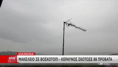 Κακοκαιρία: Κεραυνός Χτύπησε Κοπάδι Και Σκότωσε 88 Πρόβατα