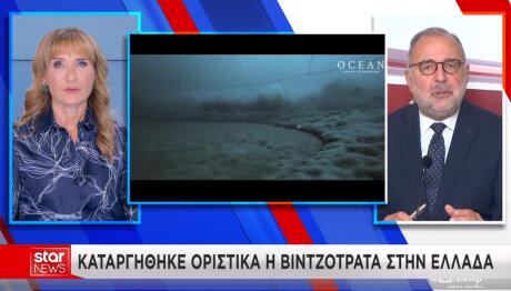 Βιντζότρατα