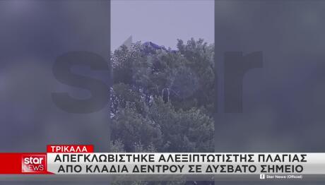 Τρίκαλα: Έκανε Παραπέντε Και Εγκλωβίστηκε Σε Δέντρο