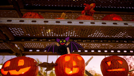 Halloween 2026: Πότε Πέφτει Φέτος