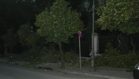 Έπεσε δέντρο στην Ηρώδου Αττικού – Διακοπή κυκλοφορίας
