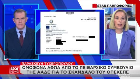 ΟΠΕΚΕΠΕ Τυχεροπούλου