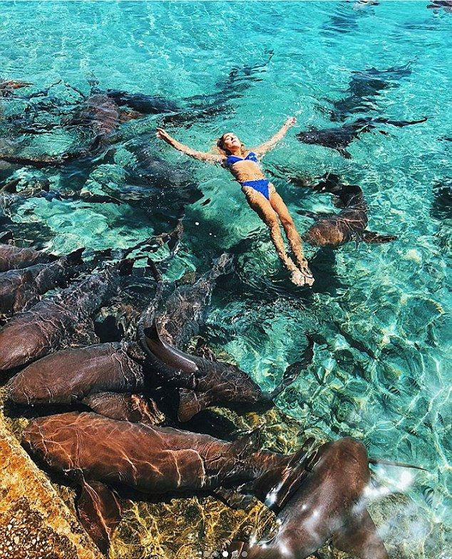  Η Katarina Zarutskie κολυμπά ανάμεσα σε καρχαρίες