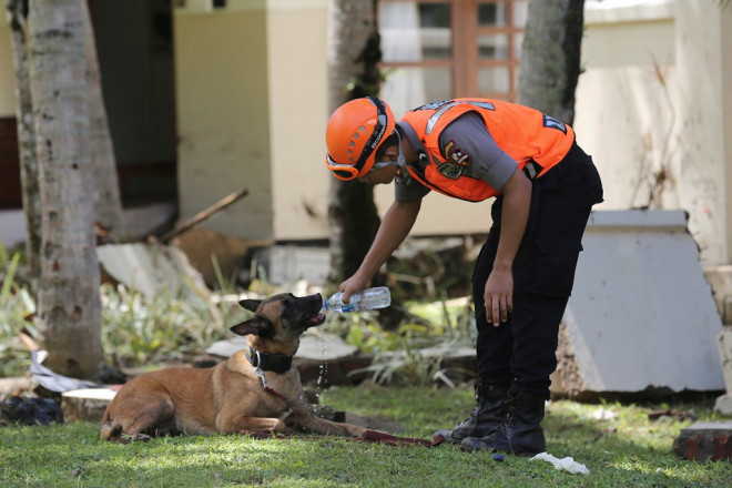 Ινδονησία: Διασώστης προσφέρει νερό σε σκυλάκι