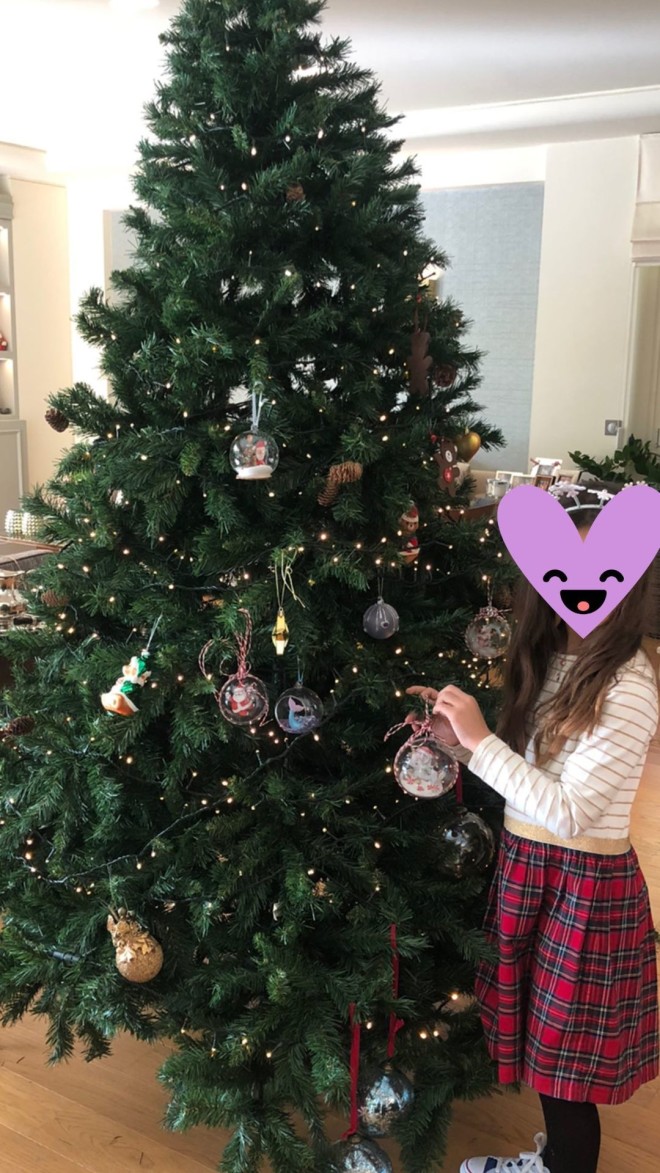 Τσιμτσιλή σπίτι στόλισε χριστουγεννιάτικο δέντρο
