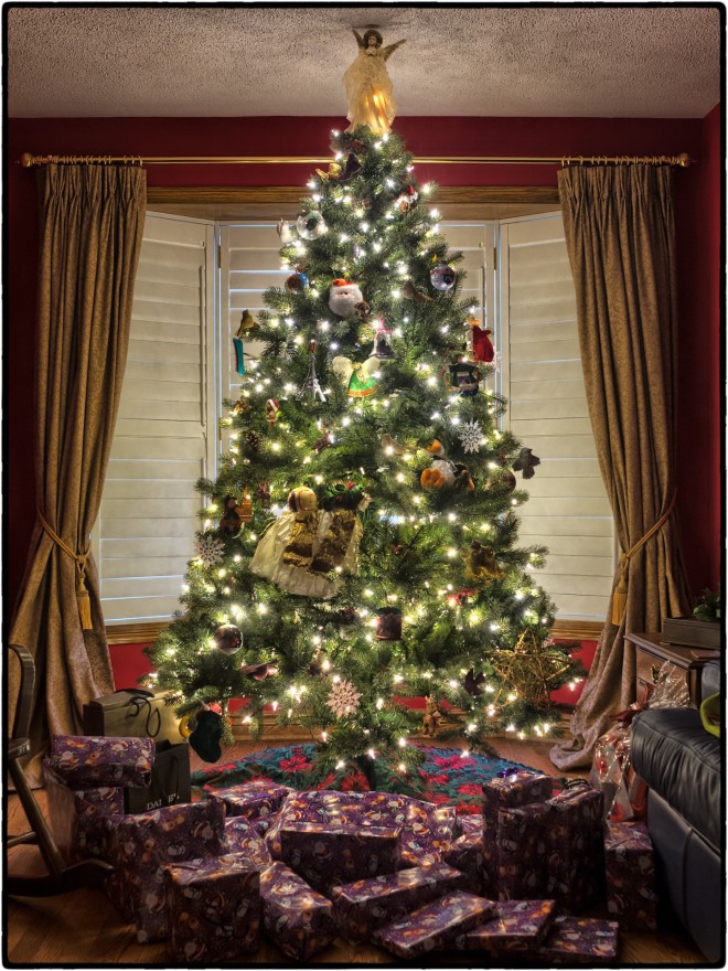 Τα χριστουγεννιάτικα δέντρα μπήκαν στα σπίτια από τον 19ο αιώνα κι έπειτα, όταν ο Γερμανός σύζυγος της βασίλισσας Βικτωρίας, πρίγκιπας Αλβέρτος, πρότεινε να έχουν ένα, στο Παλάτι του Μπάκιγχαμ.