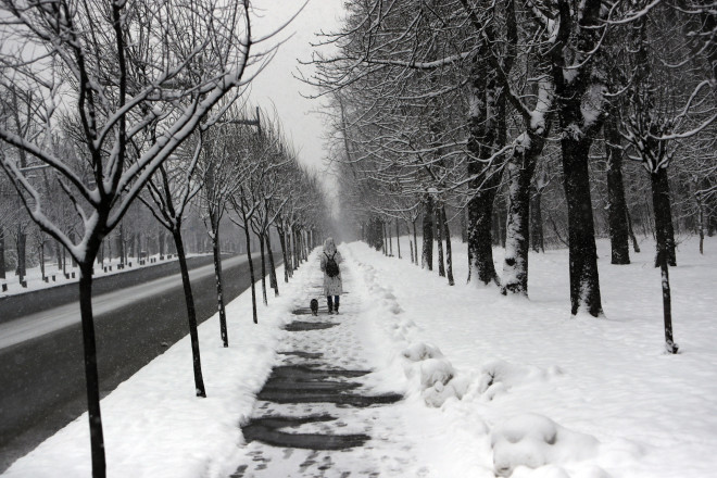 Σερβία: Ισχυρή χιονόπτωση σημειώθηκε και στο Βελιγράδι - AP Photo/Darko Vojinovic