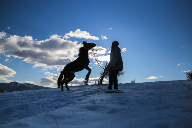 Παιχνίδια στο χιόνι με άλογο στους πρόποδες του Ολύμπου- φωτογραφία Eurokinissi