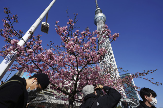 Ιάπωνες με προστατευτικές μάσκες απολαμβάνουν τις κερασιές που άνθισαν έξω από το υψηλότερο κτίριο του Τόκιο- φωτογραφία ΑΡ
