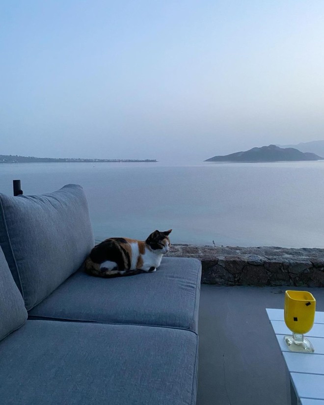 Γιώργος Καπουτζίδης: Το Πολύχρωμο Σπίτι Του Στην Αίγινα | Star.gr