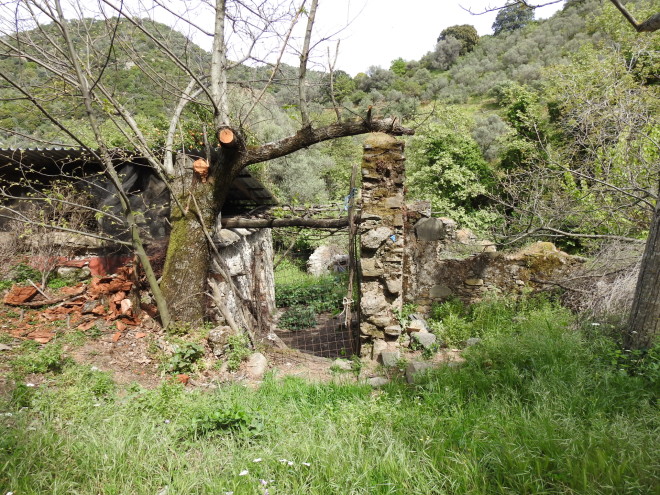 Τα ερείπια του σπιτιού του Λουφαρδαντώνη, όπου τις πρώτες ημέρες της Μάχης της Κρήτης, οι Γερμανοί εκτέλεσαν 5 γυναίκες και ένα νήπιο