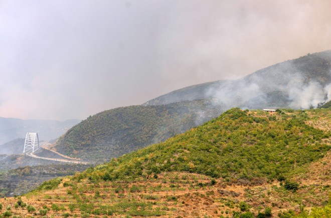Eικόνα από τη φωτιά στη Μεσσηνία- φωτογραφία ΙΝΤΙΜΕ