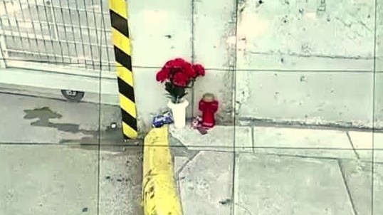 Λουλούδια στον χώρο όπου βρήκε τραγικό θάνατο η 8χρονη- από βίντεο Mega