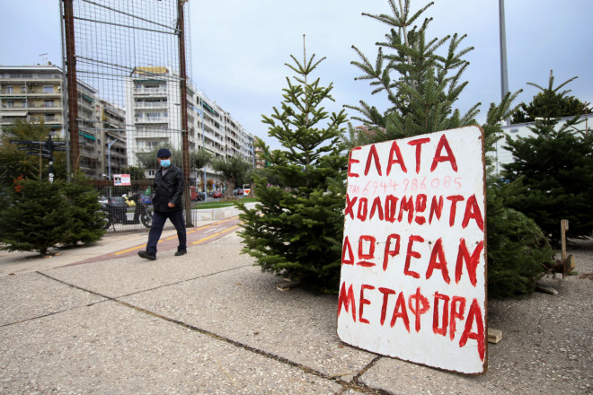Πώληση ελάτων από τον Ταξιάρχη Χαλκιδικής στη Θεσσαλονίκη - φωτογραφία Eurokinissi