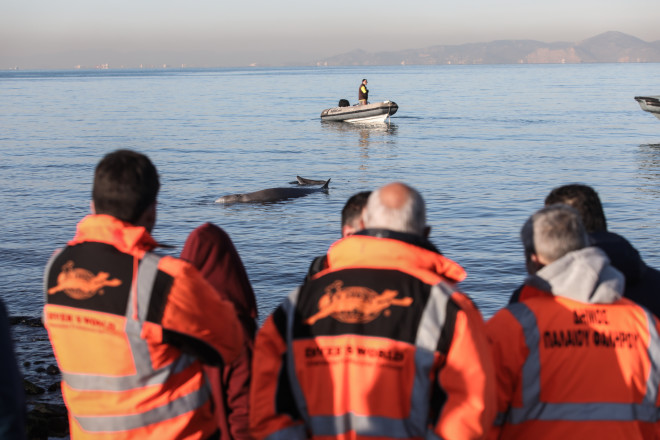 Σκάφος του λιμενικού προσεγγίζει τη φάλαινα- φωτογραφία Eurokinissi
