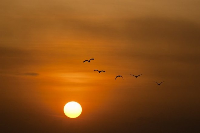Στη Σλοβενία κοιτούν τα… πουλιά στον ουρανό
