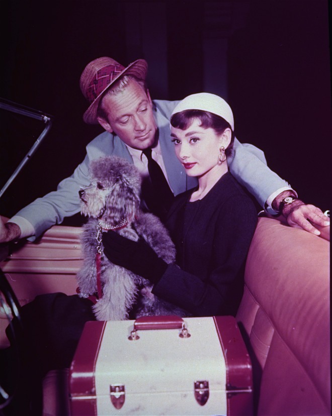 Η Audrey Hepburn κρατά ένα κανίς στην ταινία "Sabrina". Αυτή είναι μια φωτογραφία του Μαρτίου 1954. (Φωτογραφία AP)