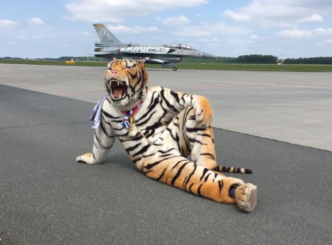 Tiger Meet 2018