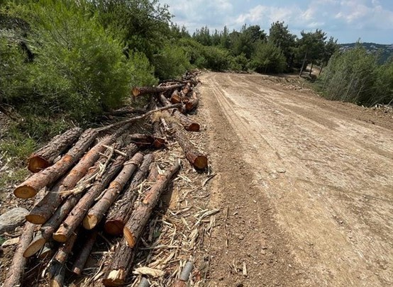 Καθαρισμός δάσους στο Σέιχ Σου Θεσσαλονίκης  