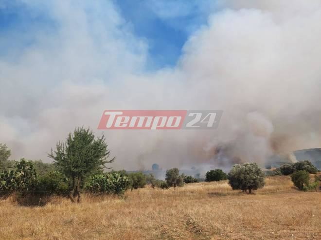 Φωτιά σε δασική έκταση στις Πόρτες Αχαϊας/ φωτογραφία Tempo24.news