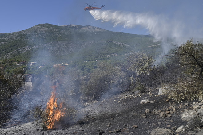 φωτιά Αττική