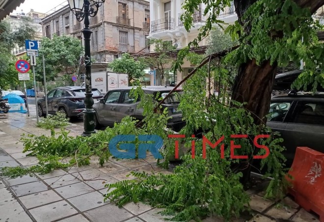 πτώση δέντρου στη Θεσσαλονίκη