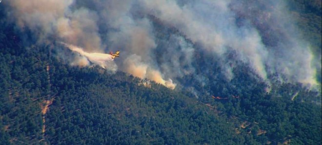  Ελληνικά Canadair εν ώρα δράσης στις φωτιές στη Γαλλία