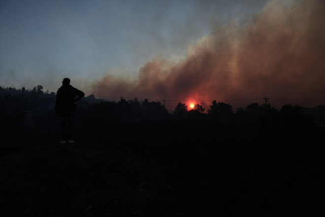 Φωτιά Πεντέλη: Συγκλονιστικές εικόνες από τα καμένα και τις καταστροφές