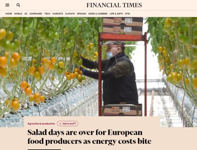 «Εκτιμώ ότι το 75%-80% όσων καλλιεργούν κηπευτικά στη Βρετανία δεν θα φυτέψουν την επόμενη χρονιά, γιατί απλώς δεν έχει κανένα νόημα», δηλώνει στους Financial Times ο Jimmy Russo