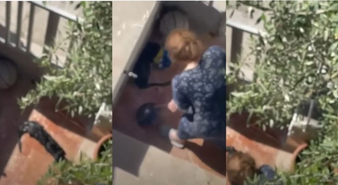 Οργή έχει προκαλέσει στο διαδίκτυο ένα βίντεο – ντοκουμένο, στο οποίο απεικονίζεται μια 80χρονη γυναίκα στη Νίκαια, να βασανίζει μια ετοιμοθάνατη γάτα, αφού πρώτα της είχε ρίξει φόλα