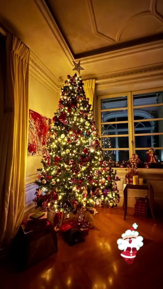Άκρως εντυπωσιακό το χριστουγεννιάτικο δέντρο που στόλισε η Μαριέττα Χρουσαλά 