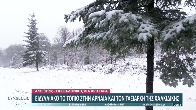 Χιόνια στη Χαλκιδική- εικόνα από ρεπορτάζ της ΕΡΤ