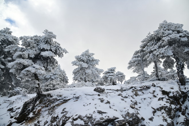 Τα πρώτα χιόνια στην Πάρνηθα- φωτογραφία Εurokinissi