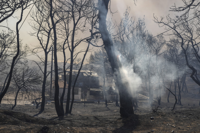Η καταστροφή στον δήμο Σαρωνικού είναι μεγάλη. Έχουν καεί πάνω από 30.000 στρέμματα γης - AP
