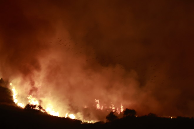 Η φωτιά στη βόρεια Κέρκυρα καίει δασική, χορτολιβαδική έκταση