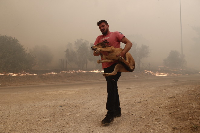 Φωτιά Πάρνηθα: Νεαρός σώζει σκύλο μέσα από τις φλόγες