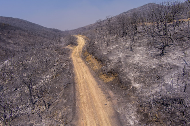 Οι εκτάσεις που κάηκαν στην Πάρνηθα- Εικόνες από drone/ Eurokinissi Βασίλης Βερβερίδης