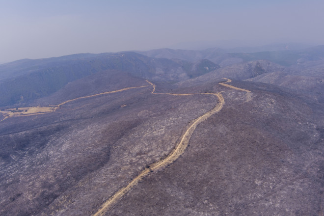 Οι εκτάσεις που κάηκαν στην Πάρνηθα- Εικόνες από drone/ Eurokinissi Βασίλης Βερβερίδης