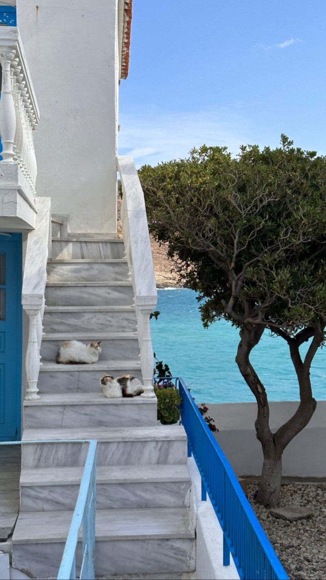Αθηνά Οικονομάκου: Οικογενειακώς στην Άνδρο