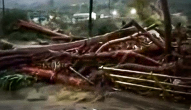 Κακοκαιρία Elias: Πλημμύρισαν σπίτια σε Φθιώτιδα και Εύβοια