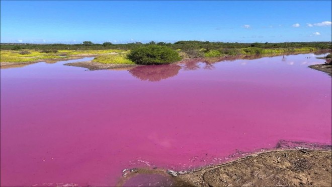 Χαβάη: Γιατί έγινε ροζ λίμνη στο Μάουι