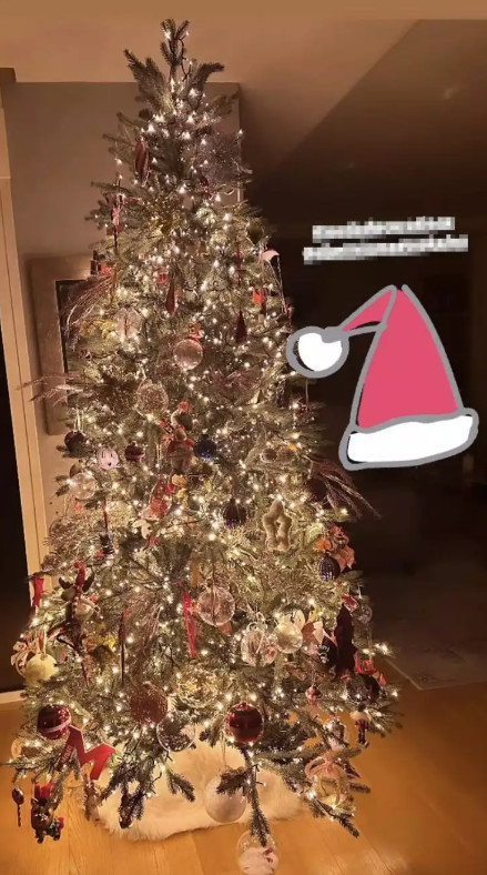 Χριστουγεννιάτικη διακόσμηση 2023: Δείτε το πανύψηλο δέντρο της Τσιμτσιλή