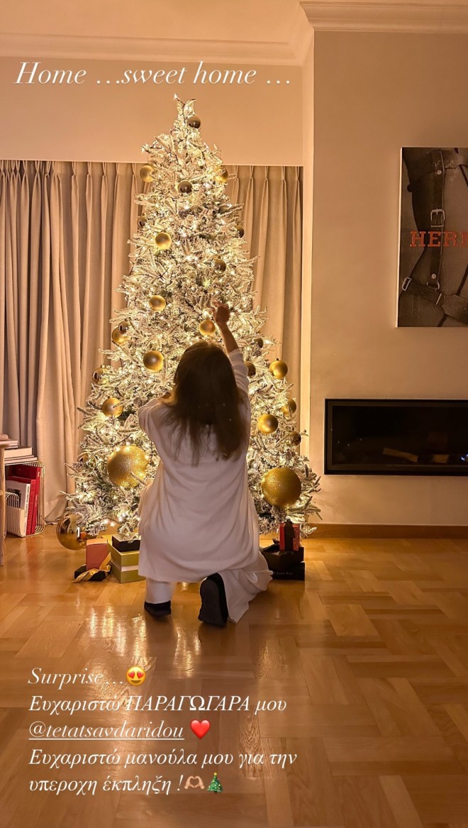 Το πρώτο insta story με το χριστουγεννιάτικο δέντρο της που πόσταρε η Κατερίνα Καινούργιου /Φωτογραφία Instagram