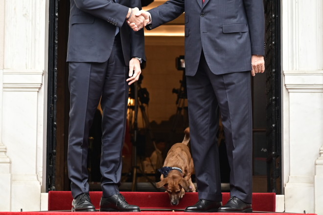 η παρουσία του συμπαθούς «πρωθυπουργικού» σκύλου, του Πίνατ, στο κεφαλόσκαλο του Μεγάρου Μαξίμου κατά την υποδοχή του Ερντογάν.
