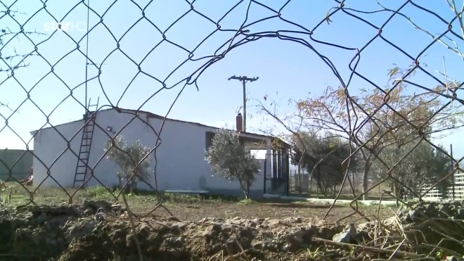 Συγκλονίζουν οι μαρτυρίες για τον θάνατο της 50χρονης γυναίκας που την κατασπάραξαν τα σκυλιά στην αυλή του σπιτιού της ενώ μέσα βρίσκονταν τα δύο της παιδιά, στη Νεοχωρούδα Θεσσαλονίκης.  